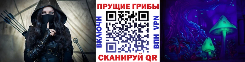Купить где  Светогорск  Псилоцибиновые грибы Psilocybe 